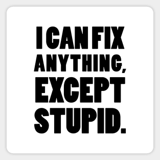 I can fix anything, except stupid. Magnet